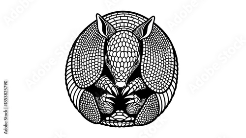 Detailed Armadillo Illustration with Intricate Line Work and Pattern Design Element