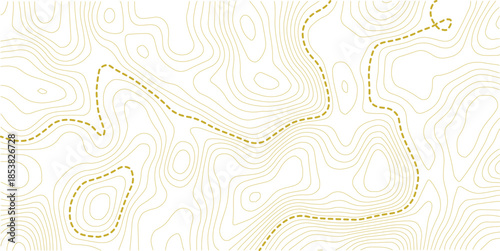 vector illustration.. Retro topographic map. Geographic contour map. Abstract outline grid.
