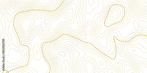 vector illustration.. Retro topographic map. Geographic contour map. Abstract outline grid.