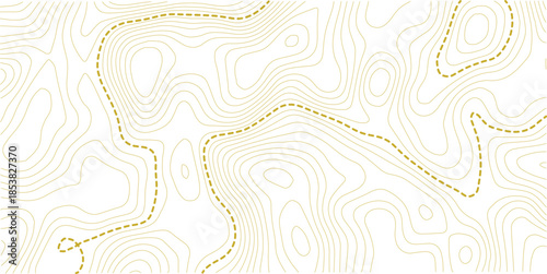 vector illustration.. Retro topographic map. Geographic contour map. Abstract outline grid.