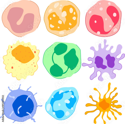 Different types of human immunity cells performing biological protection functions, showing white blood cells like leukocytes, lymphocytes, neutrophils, and eosinophils