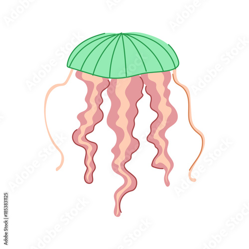 Cartoon jellyfish with a green bell and wavy pink tentacles floating on a white background, representing marine life, underwater ecosystems, and simplified animal illustrations