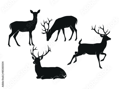 Silhouettes of deer a collection of majestic animals in black