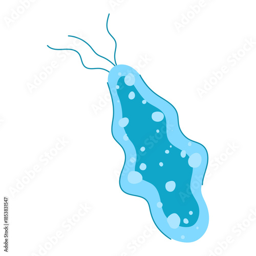 Blue bacterium showing flagella and internal structures, representing beneficial lactobacilli as essential components of the human gut flora, crucial for digestive health and probiotics