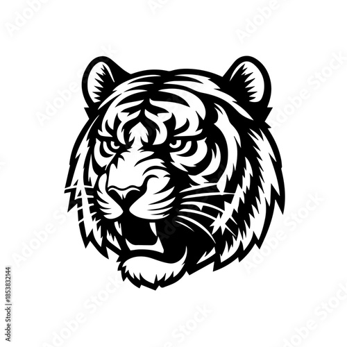 Powerful white tiger head vector illustration for wildlife logo tattoo and mascot design