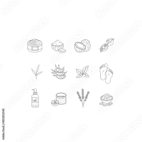  Botanical ingredients for winter foot care: shea butter, coconut oil, jojoba oil, aloe vera, tea tree oil, glycerin, lavender oil, and oatmeal. 