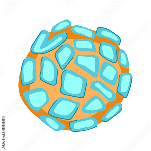 Mexican sweet bread concha featuring a distinct mollusk shell pattern on its blue sugar topping, representing traditional bakery and delicious latin american cuisine