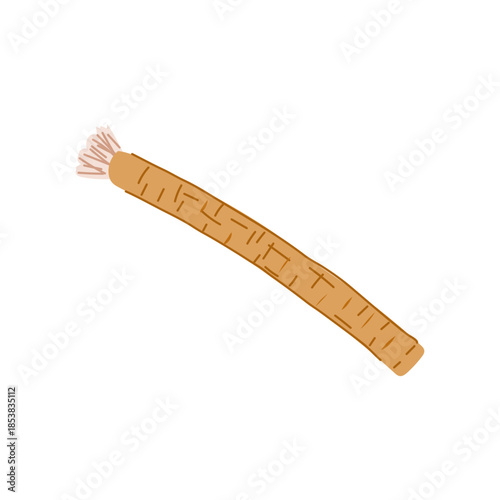 Miswak twig with frayed end for natural, traditional oral hygiene and teeth cleaning, eco friendly, plant based dental care illustration on white background, isolated cutout