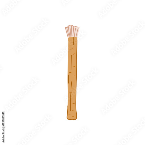Miswak, a natural teeth cleaning stick, providing a traditional and ecological solution for daily dental care, representing wellness and a healthy lifestyle
