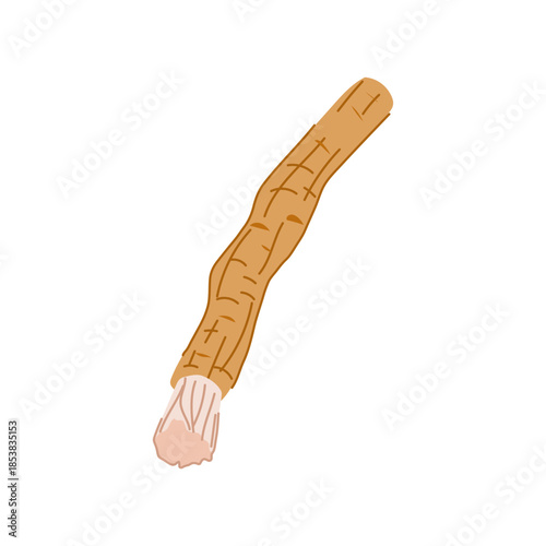 Miswak stick illustrating a traditional and sustainable method for cleaning teeth and maintaining oral hygiene, representing natural wellness practices