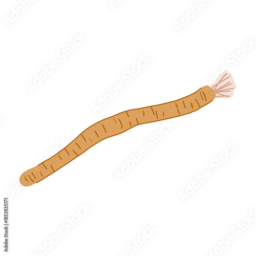 Miswak - siwak - natural chewing stick on white background, traditional plant based oral care for fresh, eco friendly dental hygiene without toothpaste or a conventional toothbrush