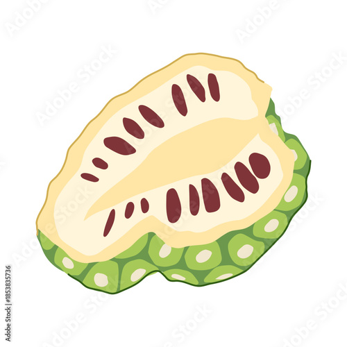 Noni fruit showing its cross section with light colored segmented flesh and numerous dark seeds, representing tropical produce used for healthy food and juice concepts