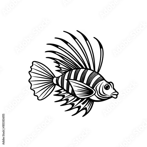 A detailed black and white illustration of a lionfish with prominent striped patterns and spiky fins, depicted in a side profile.