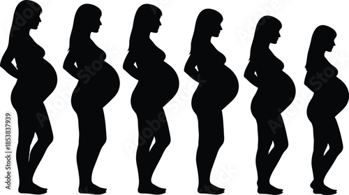 Pregnancy Stages Silhouette Set, Woman Side View Profile Showing Growing Belly Size, Monthly Progression of Expectant Mother, Vector Illustration