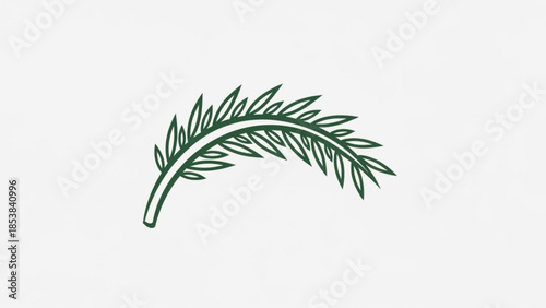 A dark green, curved leafy branch with pointed leaflets on a white background, symbolizing nature and growth