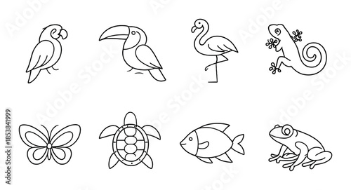 Minimalist animal icons set featuring bird, fish, reptile, amphibian, and insect designs