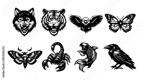 Black and white animal tattoos: wolf, tiger, eagle, butterfly, moth, scorpion, koi fish, crow