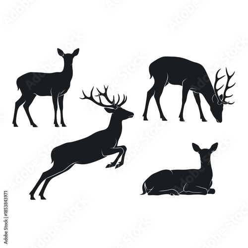 Silhouette collection of majestic deer in various poses and landscapes