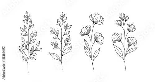 Hand-drawn floral botanical illustration with detailed leaves and flowers