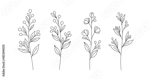 Minimalist botanical line art: four simple floral stems on white background