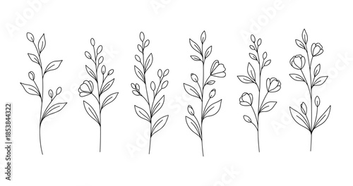 Hand-drawn botanical line art: minimalist floral illustrations