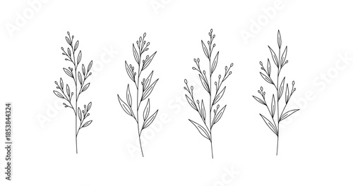 Elegant minimalist botanical illustrations of leafy branches with simple line art design