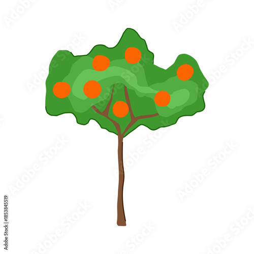Orange tree displaying abundant ripe citrus fruits, presenting a simple cartoon illustration on a white background, representing healthy food and natural growth