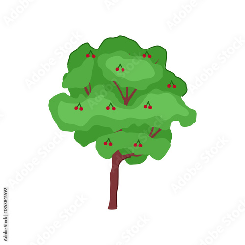 Cherry tree with lush green foliage and clusters of ripe red berries, stylized vector illustration symbolizing organic produce, healthy eating, gardening, and summer harvest