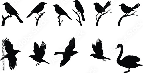 Set of black bird silhouettes featuring songbirds perched on varied branches and flying birds with a large swan vector.