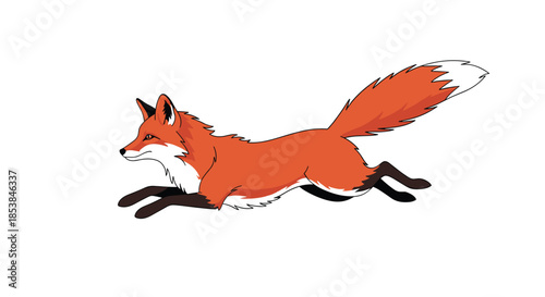 Dynamic illustration of a red fox jumping through the air with its long bushy tail stretched out against a clean white background.