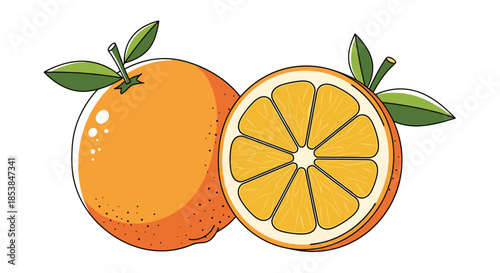 Fresh citrus fruit illustration showcasing a whole orange and a sliced orange, highlighting its juicy segments and healthy appeal.