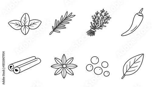 Herbs and spices icons: basil, rosemary, thyme, chili, cinnamon, star anise, pepper, bay leaf