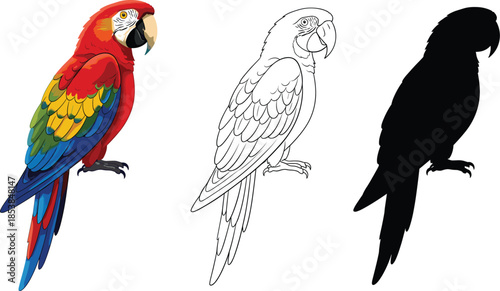 Red macaw parrot vector illustration set including full color character and black line art with solid silhouette shape.