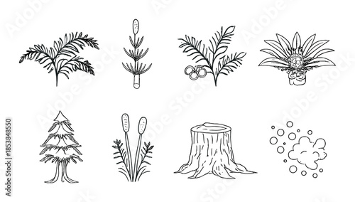 Collection of various hand-drawn plants and nature elements on dark background