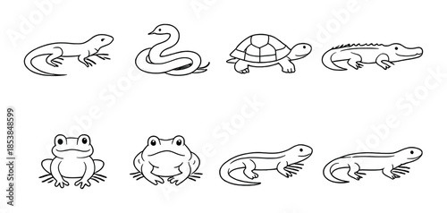 Collection of simple line art reptiles and amphibians on gradient background