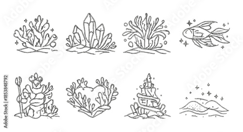 Minimalist nature and sea life line art on textured background
