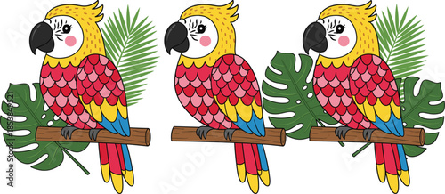 Colorful tropical macaw parrot characters sitting on branches with exotic monstera leaves isolated on a white background vector.