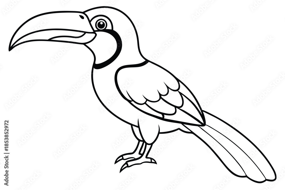 Obraz premium hornbill silhouette line art vector illustration with a white background