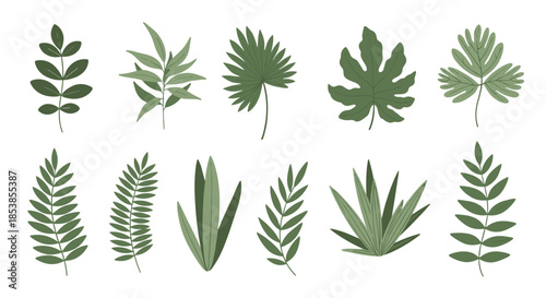Comprehensive set of various green leaf shapes including palm fern and oak styles for nature inspired graphic design projects.
