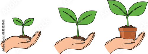 Plant growth stages from seedling to potted plant in human hand cartoon illustration isolated on white background flat design