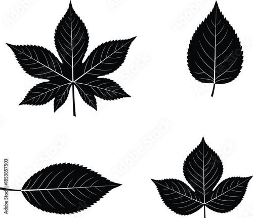 Black botanical leaf silhouettes collection isolated on white background, minimalist nature foliage icons set for design, decoration, branding, illustration