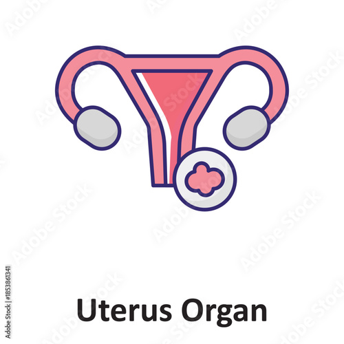 Uterus Organ Vector Icon which can easily modify or edit