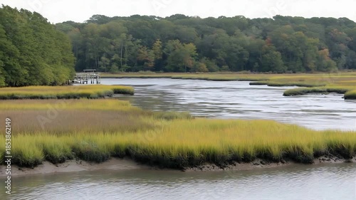 Peaceful River Estuary Winding Through Lush Green and Golden Marsh Grass, Featuring a Small Dock.