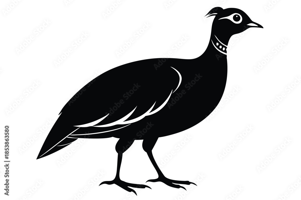 Obraz premium francolin silhouette line art vector illustration with a white background