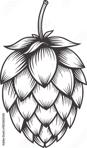 Black and white line of a hop cone plant beer