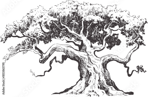 Detailed black and white ink of a sprawling tree with intricate branches