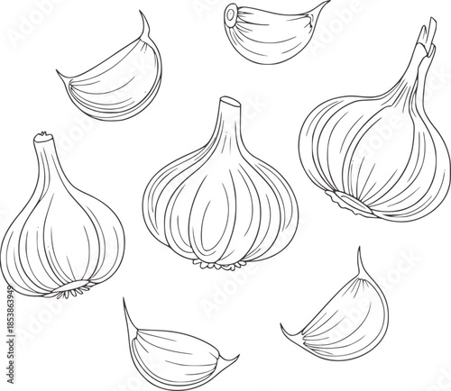Minimalist black and white line of garlic bulbs and cloves outline