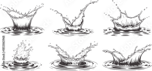 Six black and white style water splash crown editable