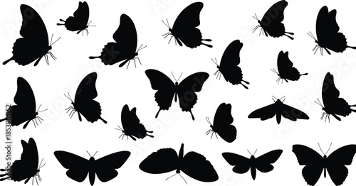 Collection of butterfly and moth silhouettes in various flying and resting positions, black shapes, insect wings, nature, wildlife, delicate insects