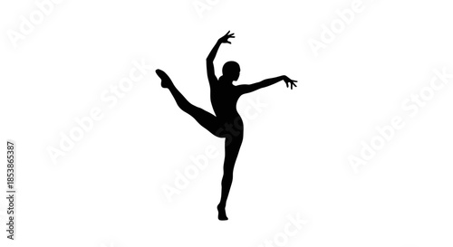 Silhouette of a ballet dancer performing.